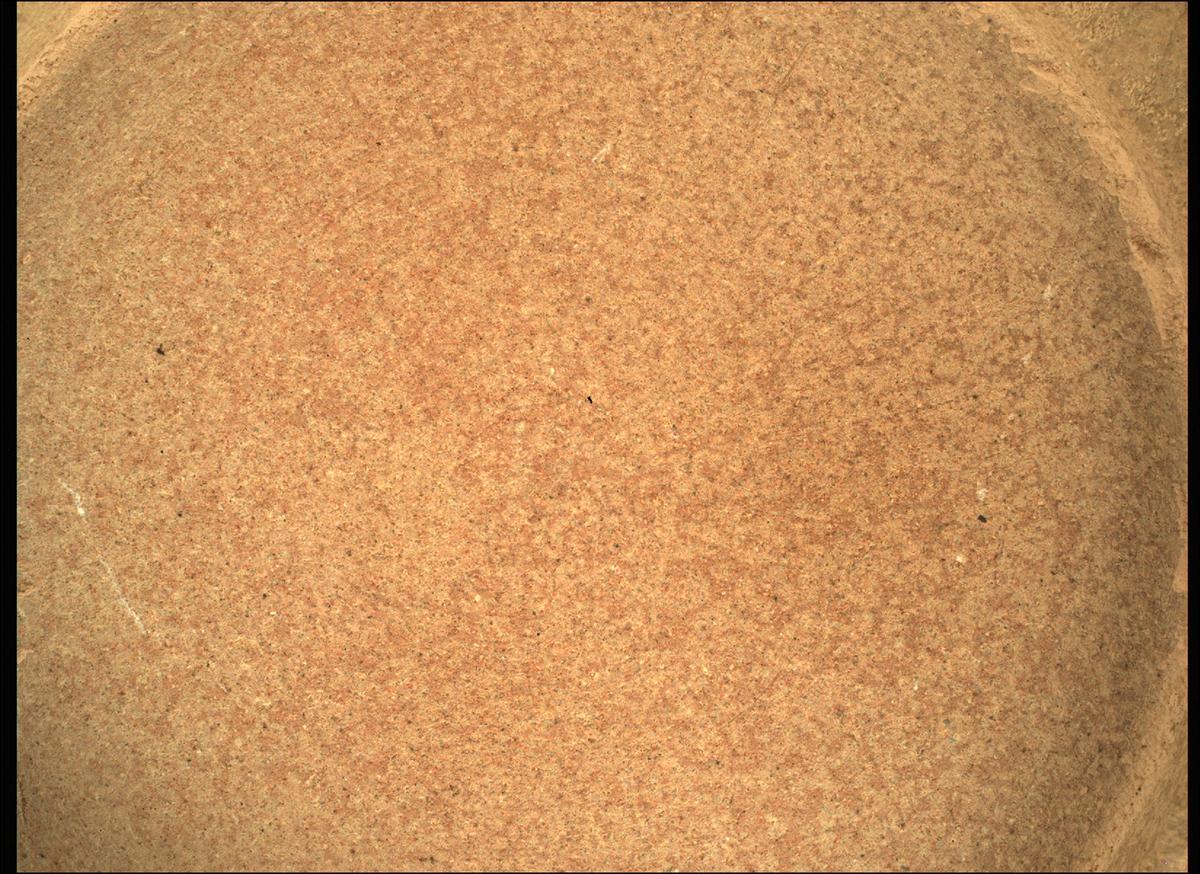 This image was taken by SHERLOC_WATSON onboard NASA's Mars rover Perseverance on Sol 505