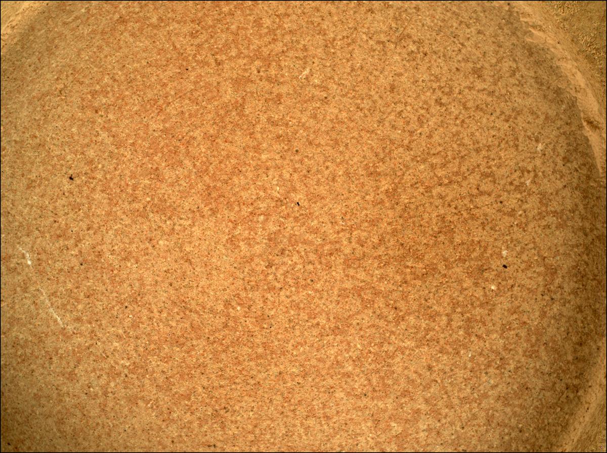 This image was taken by SHERLOC_WATSON onboard NASA's Mars rover Perseverance on Sol 505