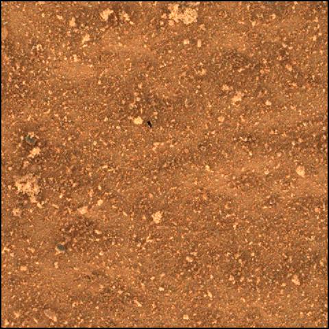 This image was taken by SHERLOC_WATSON onboard NASA's Mars rover Perseverance on Sol 505