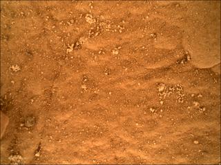 View image taken on Mars, Mars Perseverance Sol 505: WATSON Camera 