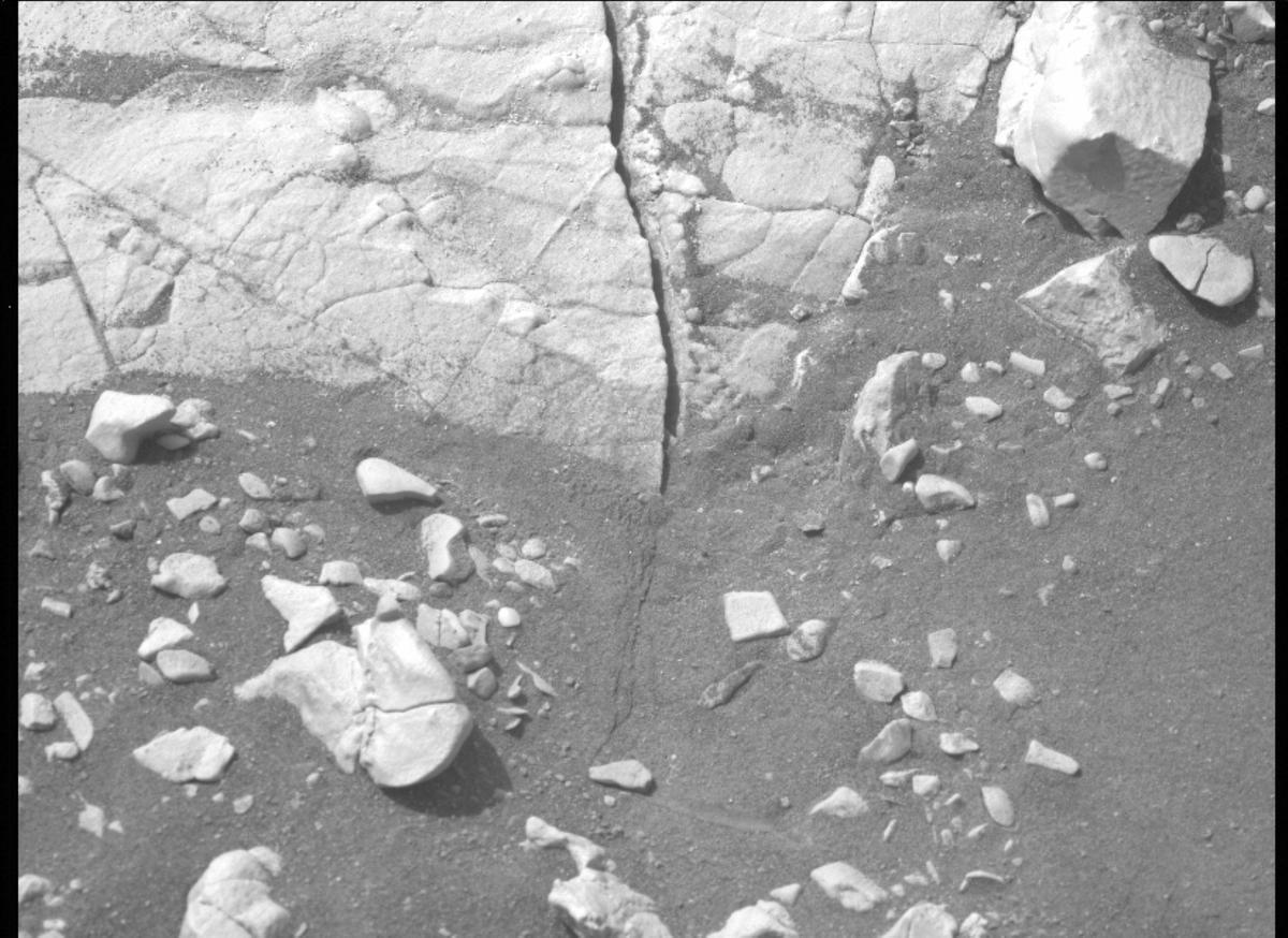 This image was taken by MCZ_LEFT onboard NASA's Mars rover Perseverance on Sol 505