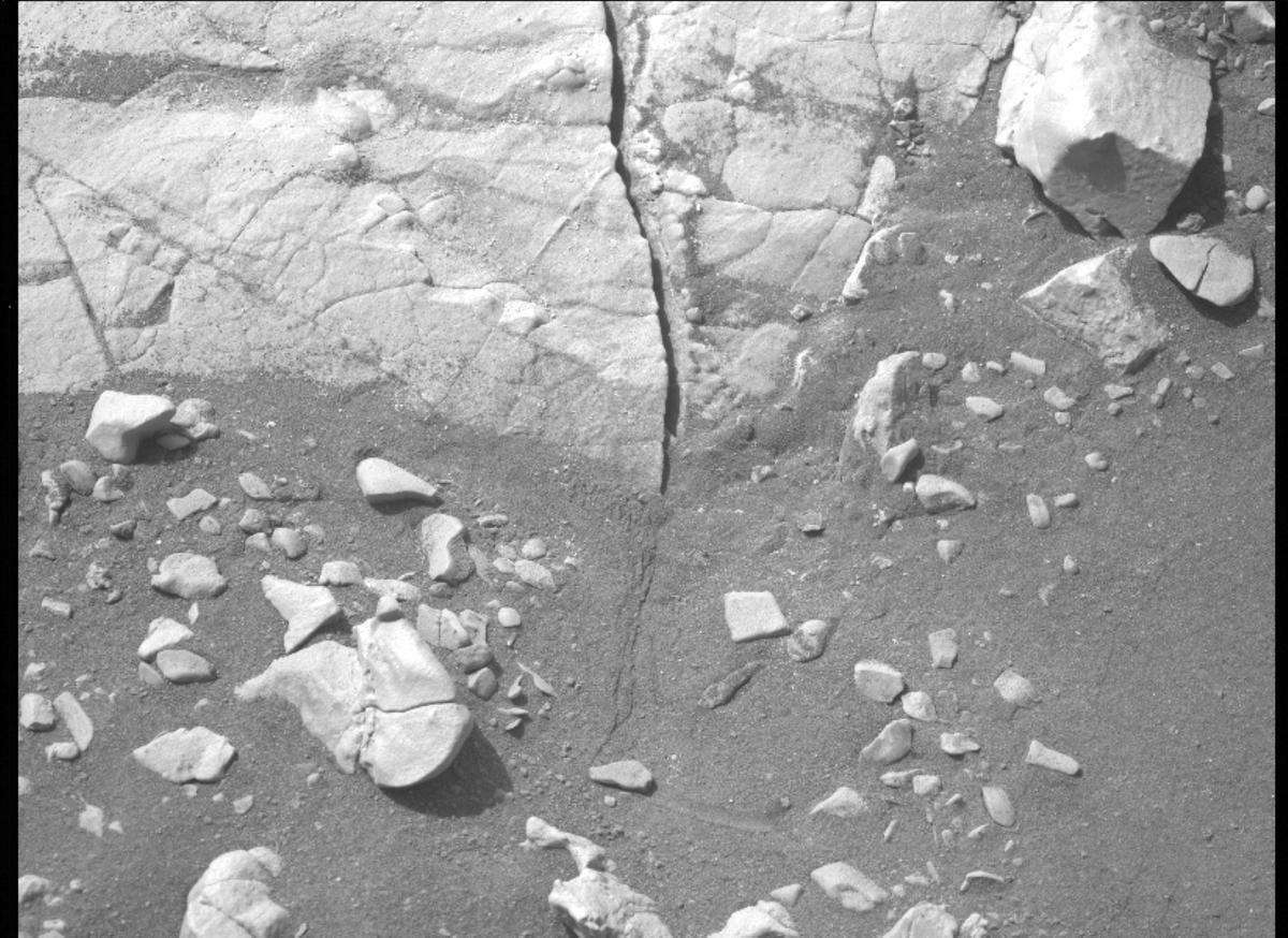 This image was taken by MCZ_LEFT onboard NASA's Mars rover Perseverance on Sol 505
