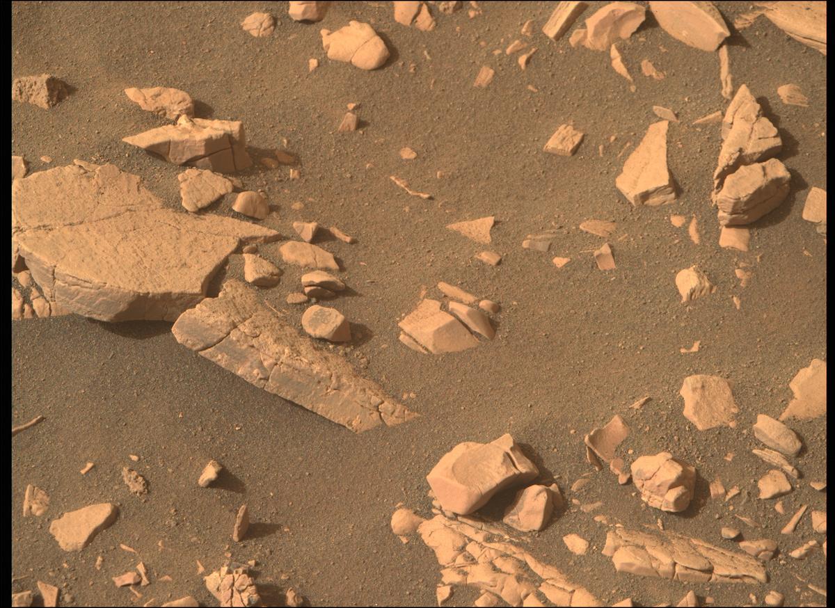 This image was taken by MCZ_RIGHT onboard NASA's Mars rover Perseverance on Sol 505