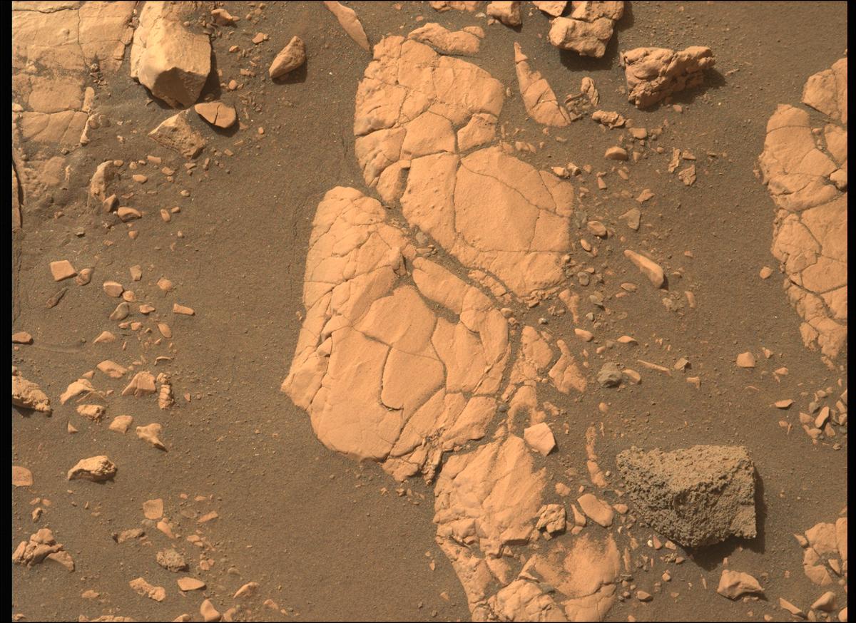 This image was taken by MCZ_LEFT onboard NASA's Mars rover Perseverance on Sol 507