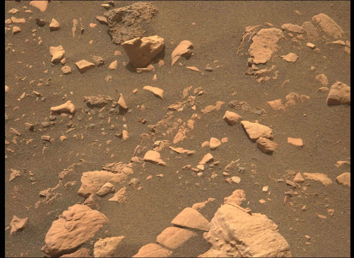This image was taken by MCZ_LEFT onboard NASA's Mars rover Perseverance on Sol 507