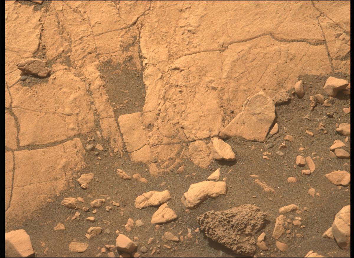 This image was taken by MCZ_LEFT onboard NASA's Mars rover Perseverance on Sol 507