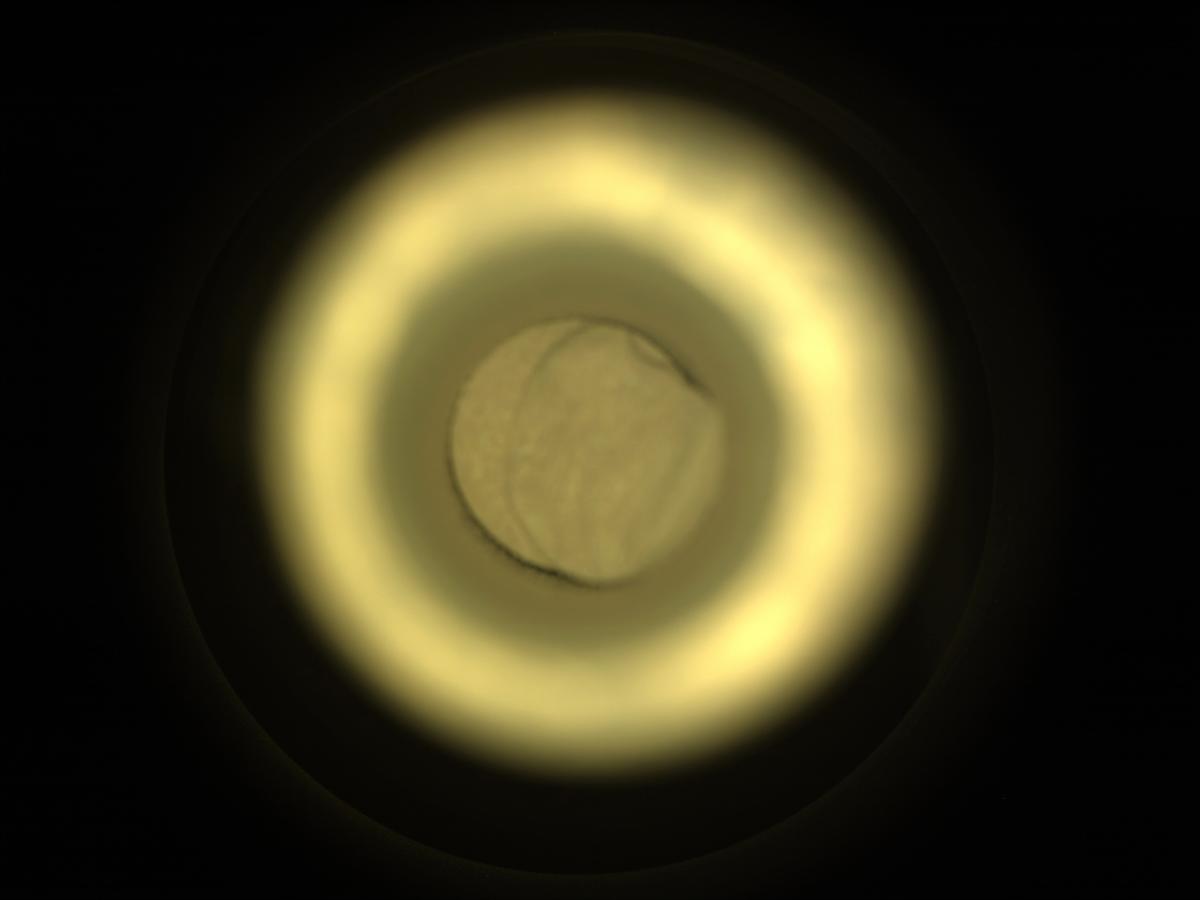 This image was taken by CACHECAM onboard NASA's Mars rover Perseverance on Sol 509