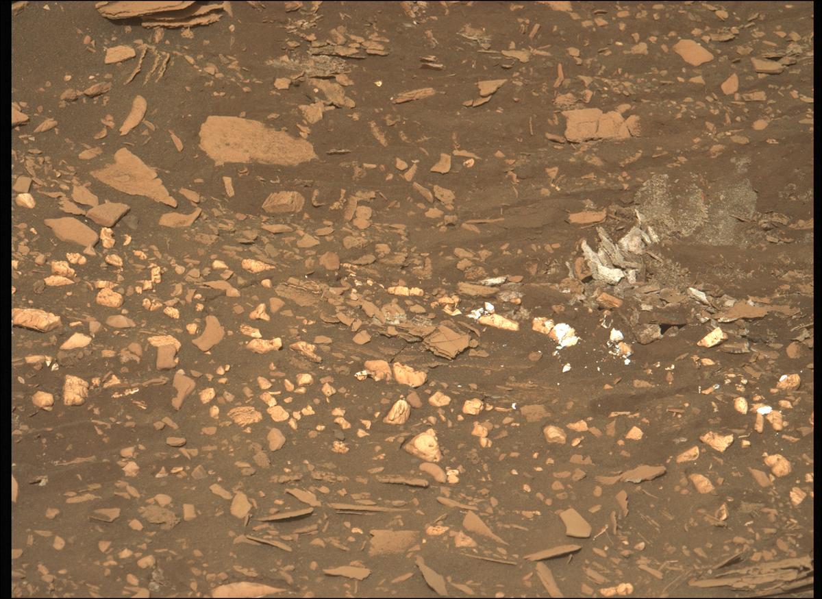This image was taken by MCZ_LEFT onboard NASA's Mars rover Perseverance on Sol 510