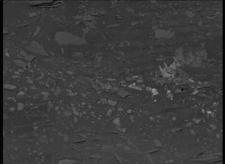 View image taken on Mars, Mars Perseverance Sol 510: Left Mastcam-Z Camera