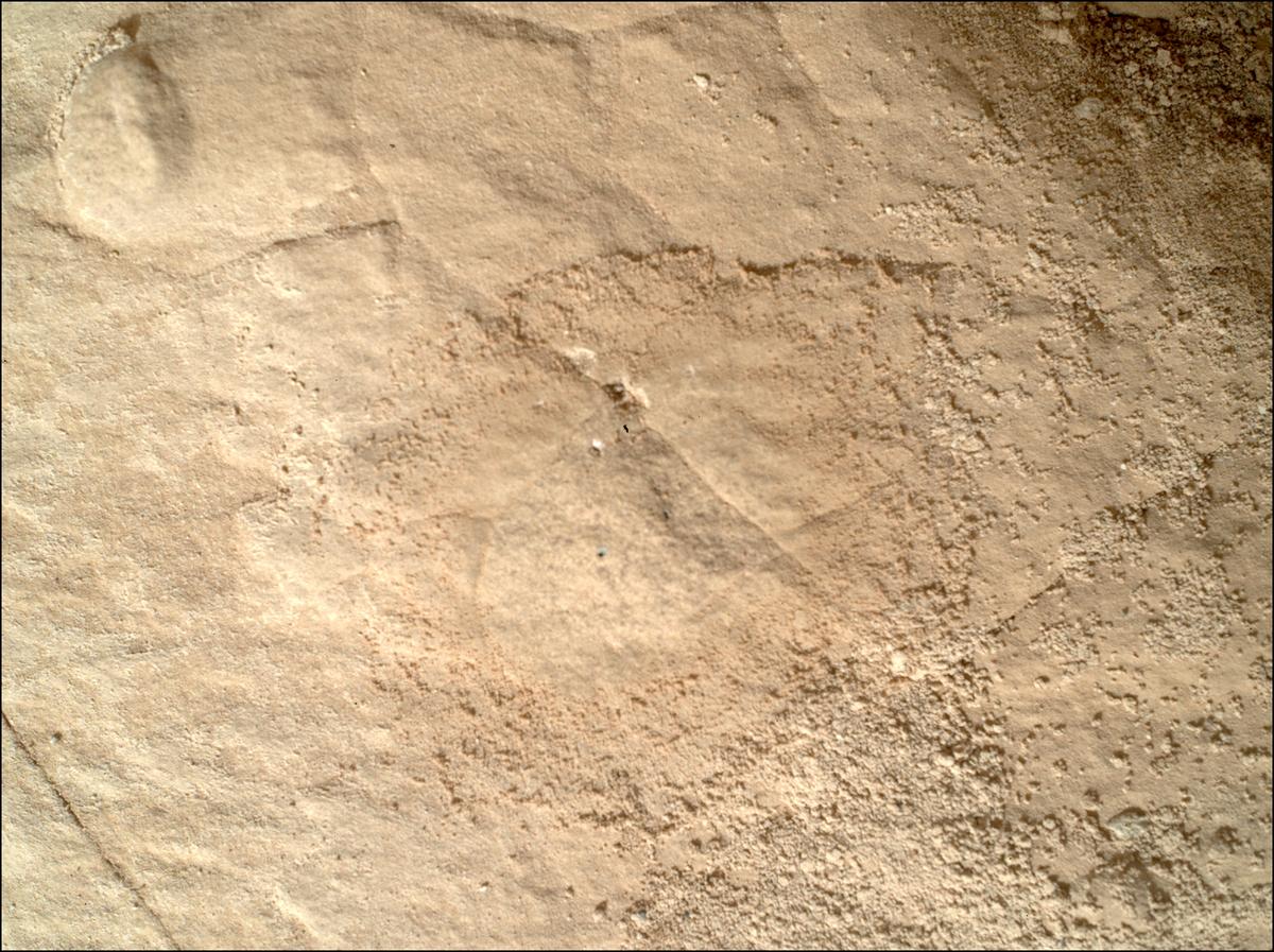 This image was taken by SHERLOC_WATSON onboard NASA's Mars rover Perseverance on Sol 511