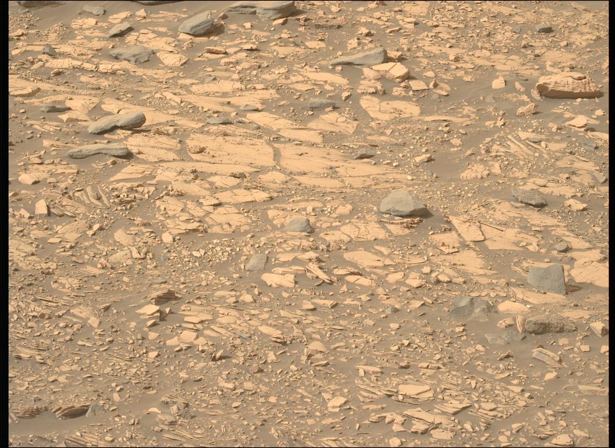 This image was taken by MCZ_LEFT onboard NASA's Mars rover Perseverance on Sol 518