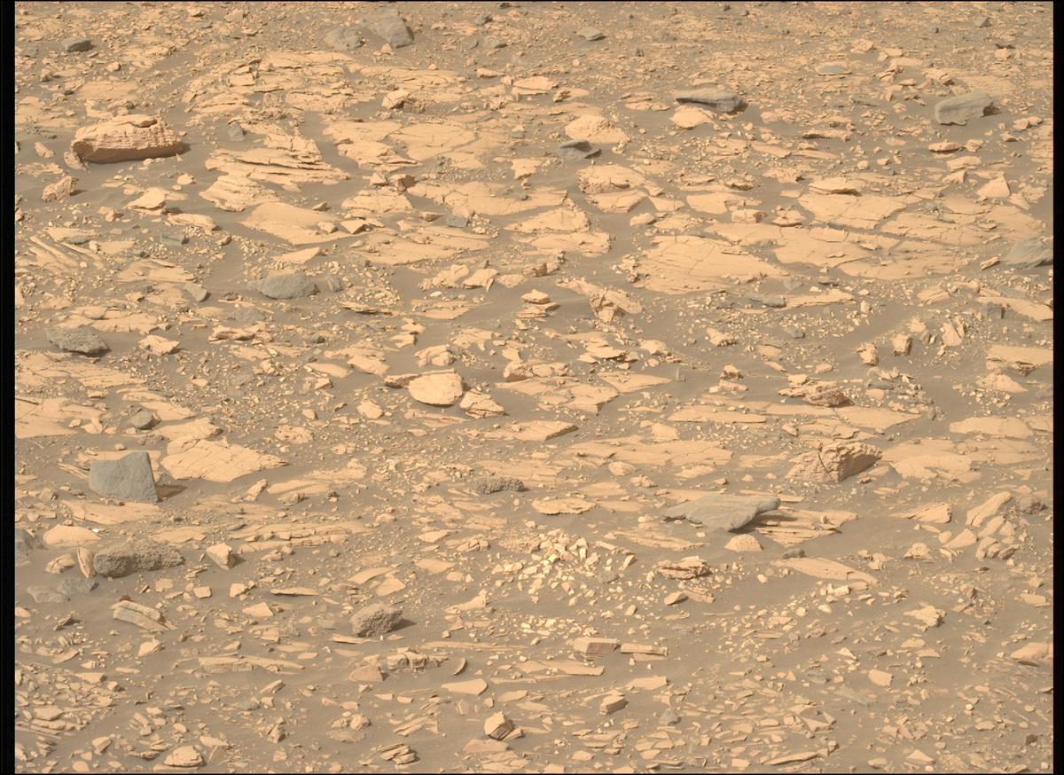 This image was taken by MCZ_LEFT onboard NASA's Mars rover Perseverance on Sol 518