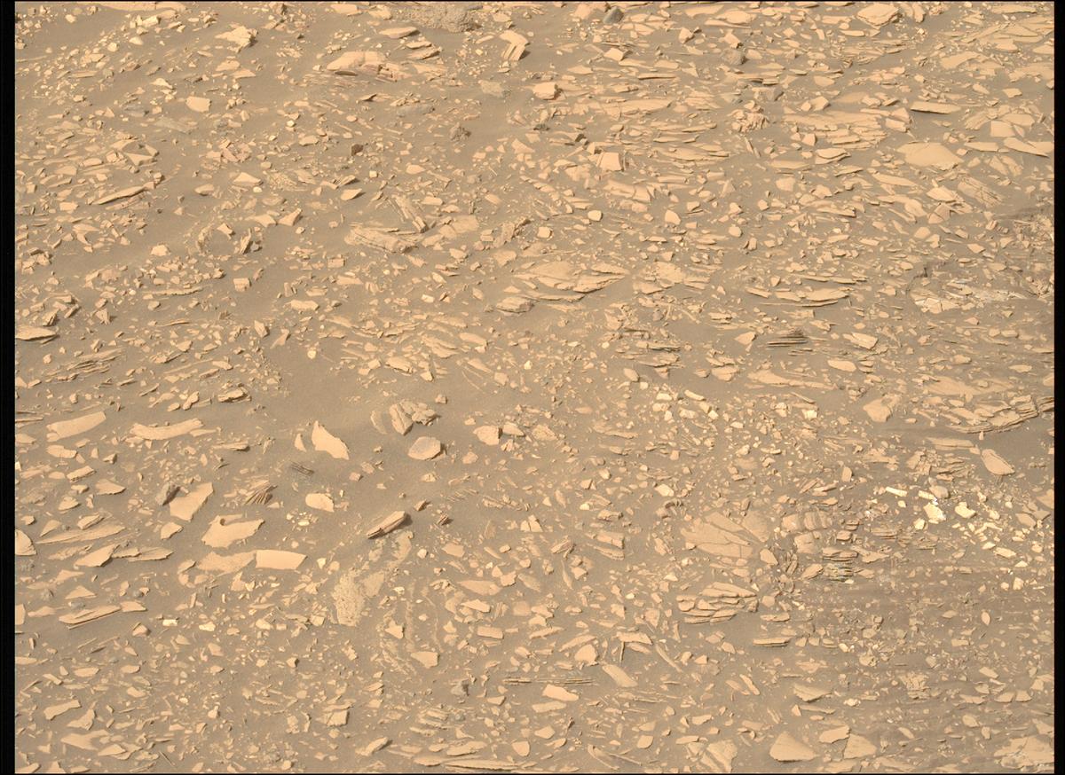 This image was taken by MCZ_LEFT onboard NASA's Mars rover Perseverance on Sol 518