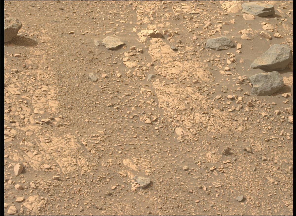 This image was taken by MCZ_LEFT onboard NASA's Mars rover Perseverance on Sol 518