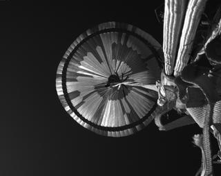 View image taken on Mars, Mars Perseverance Sol 519: Parachute Up-Look Camera A