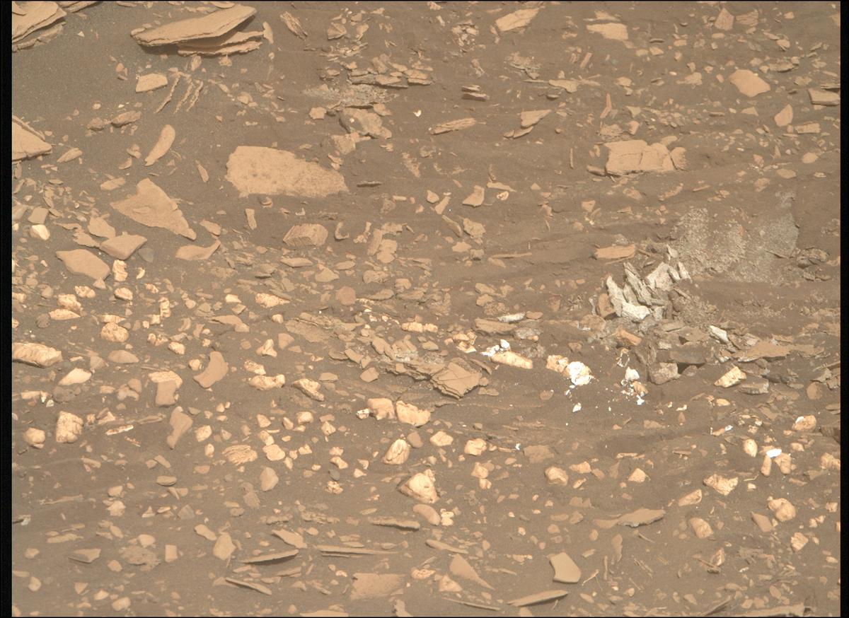 This image was taken by MCZ_RIGHT onboard NASA's Mars rover Perseverance on Sol 519