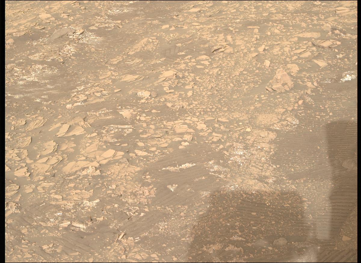 This image was taken by MCZ_RIGHT onboard NASA's Mars rover Perseverance on Sol 520