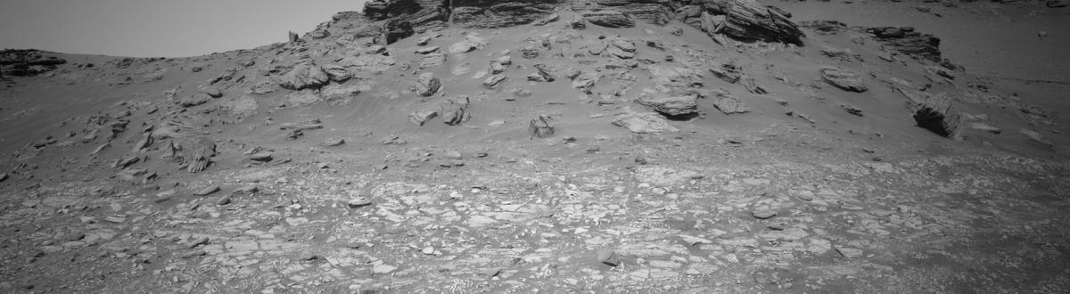 This image was taken by NAVCAM_LEFT onboard NASA's Mars rover Perseverance on Sol 521