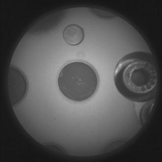 View image taken on Mars, Mars Perseverance Sol 521: SuperCam Camera