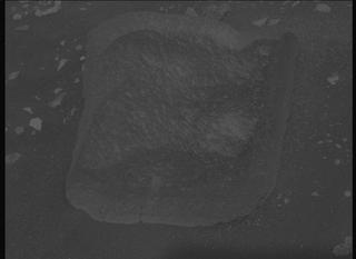 View image taken on Mars, Mars Perseverance Sol 524: Left Mastcam-Z Camera