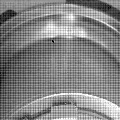 This image was taken by SHERLOC_WATSON onboard NASA's Mars rover Perseverance on Sol 531