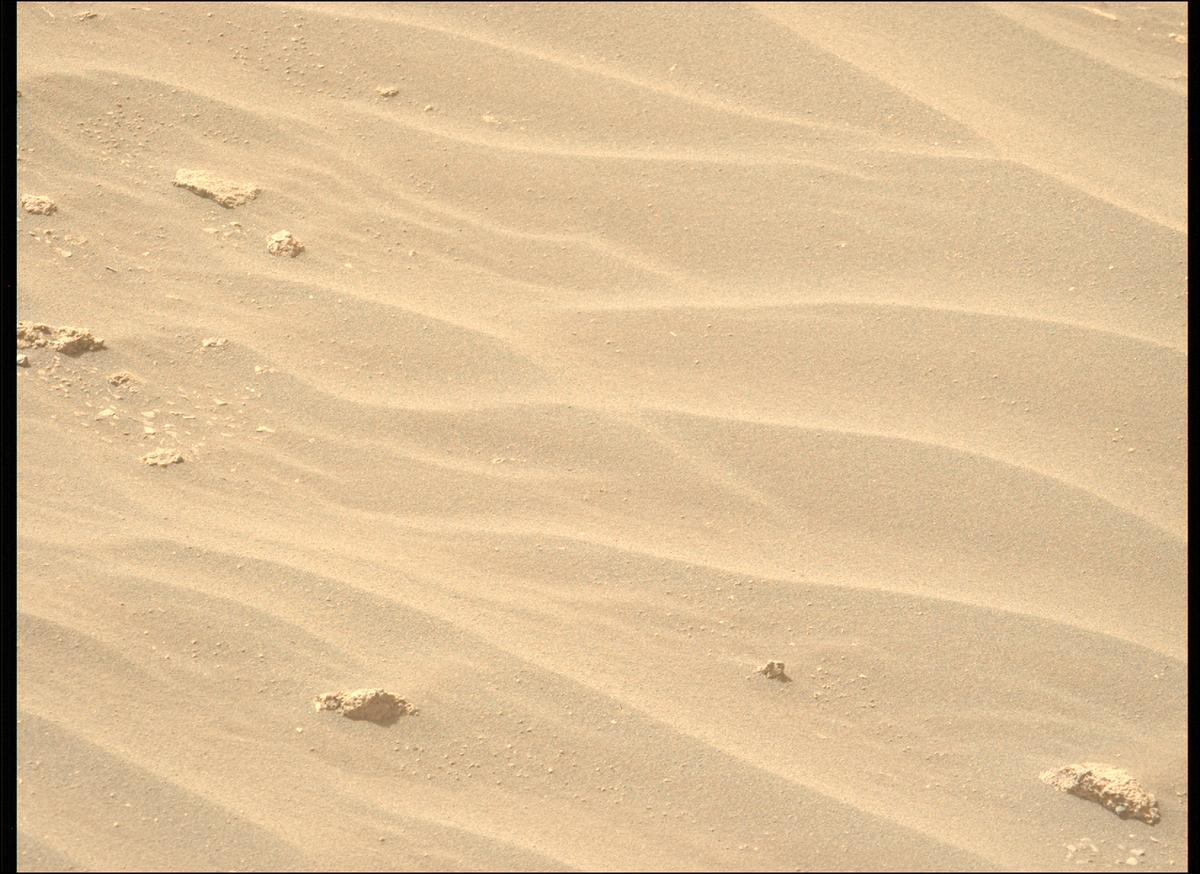 This image was taken by MCZ_LEFT onboard NASA's Mars rover Perseverance on Sol 531