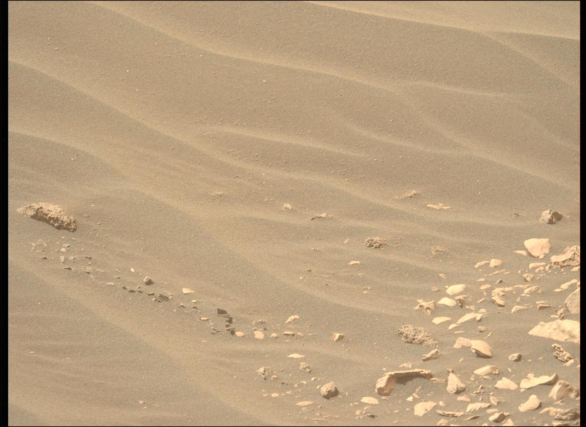 This image was taken by MCZ_LEFT onboard NASA's Mars rover Perseverance on Sol 531