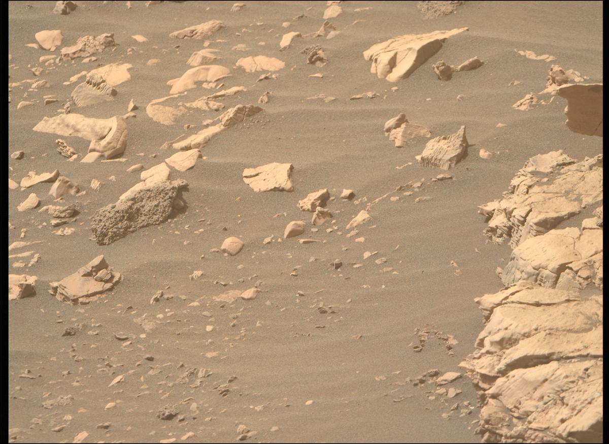 This image was taken by MCZ_RIGHT onboard NASA's Mars rover Perseverance on Sol 531