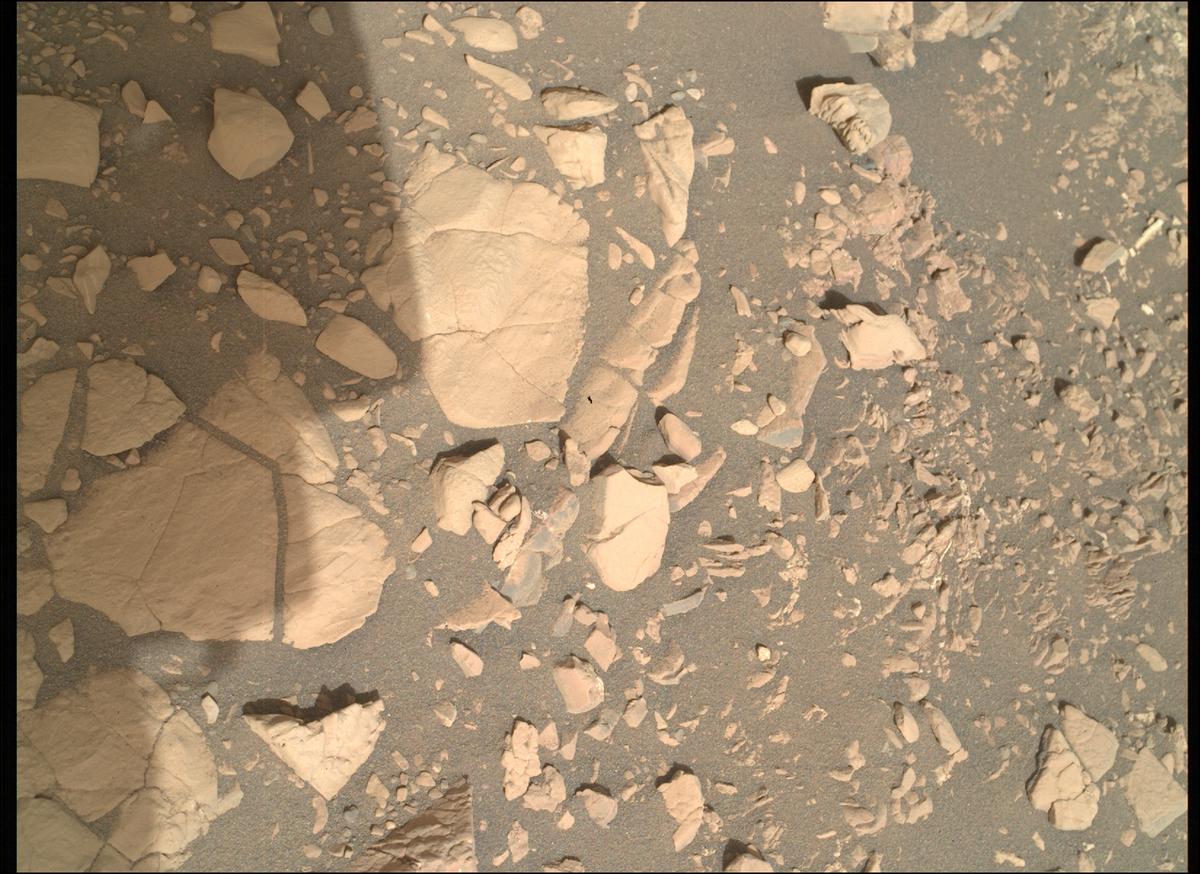 This image was taken by SHERLOC_WATSON onboard NASA's Mars rover Perseverance on Sol 532