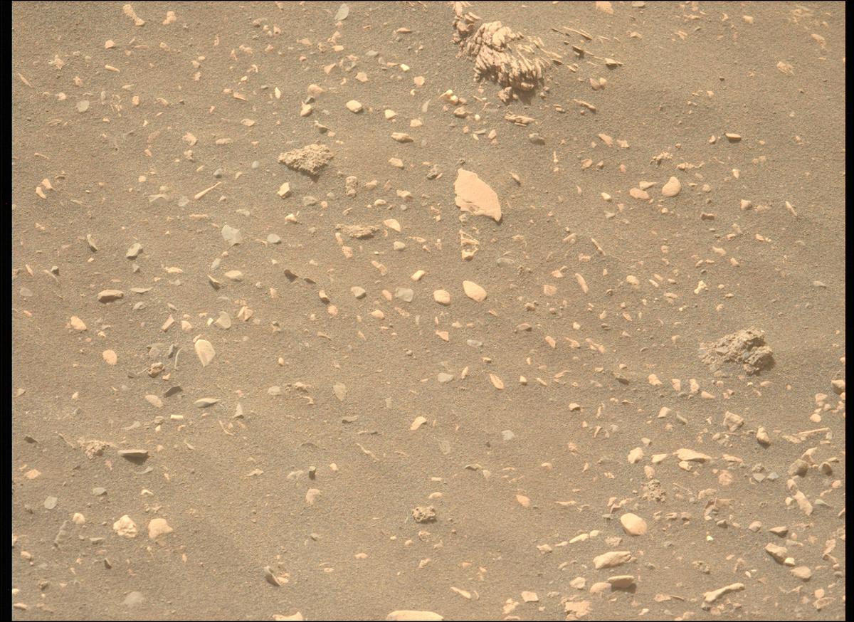 This image was taken by MCZ_LEFT onboard NASA's Mars rover Perseverance on Sol 532
