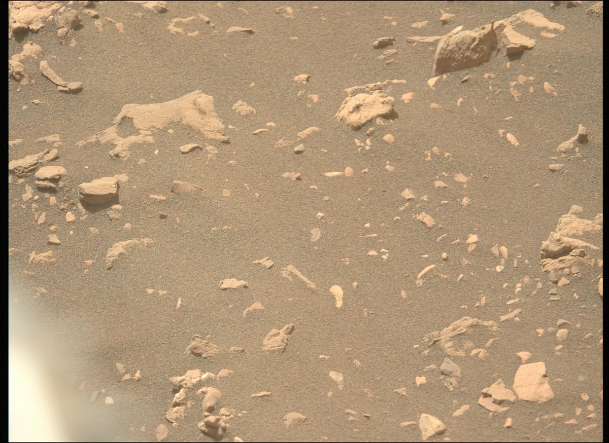 This image was taken by MCZ_LEFT onboard NASA's Mars rover Perseverance on Sol 532