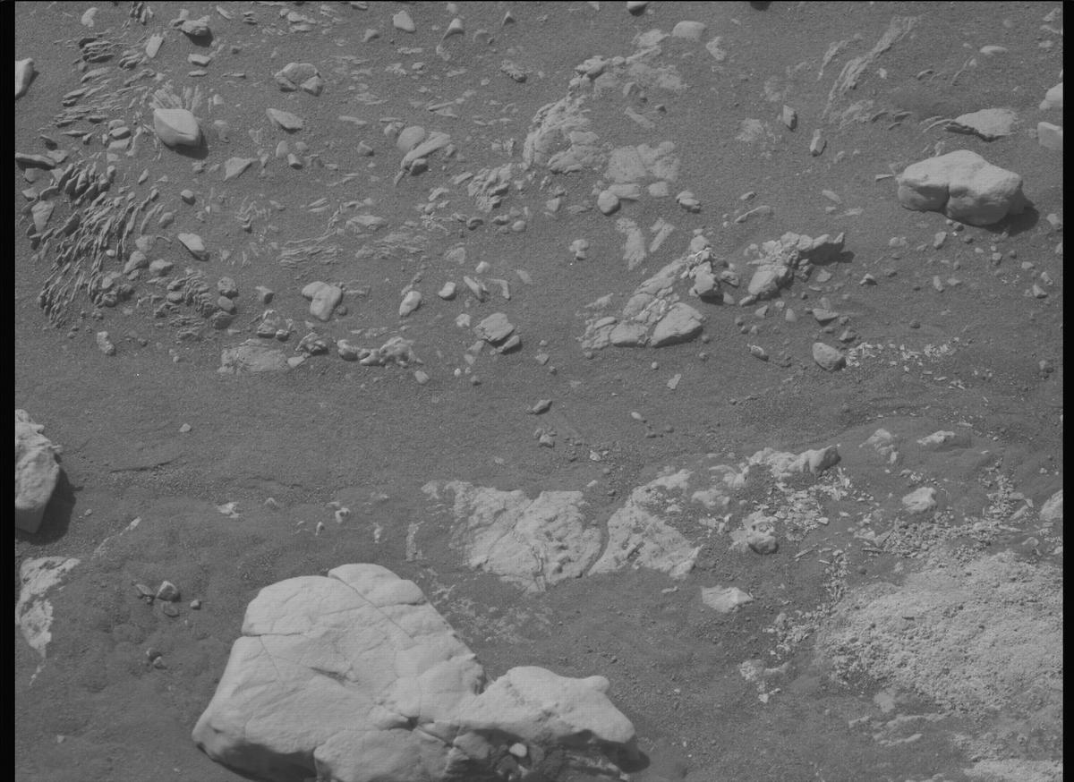 This image was taken by MCZ_RIGHT onboard NASA's Mars rover Perseverance on Sol 532