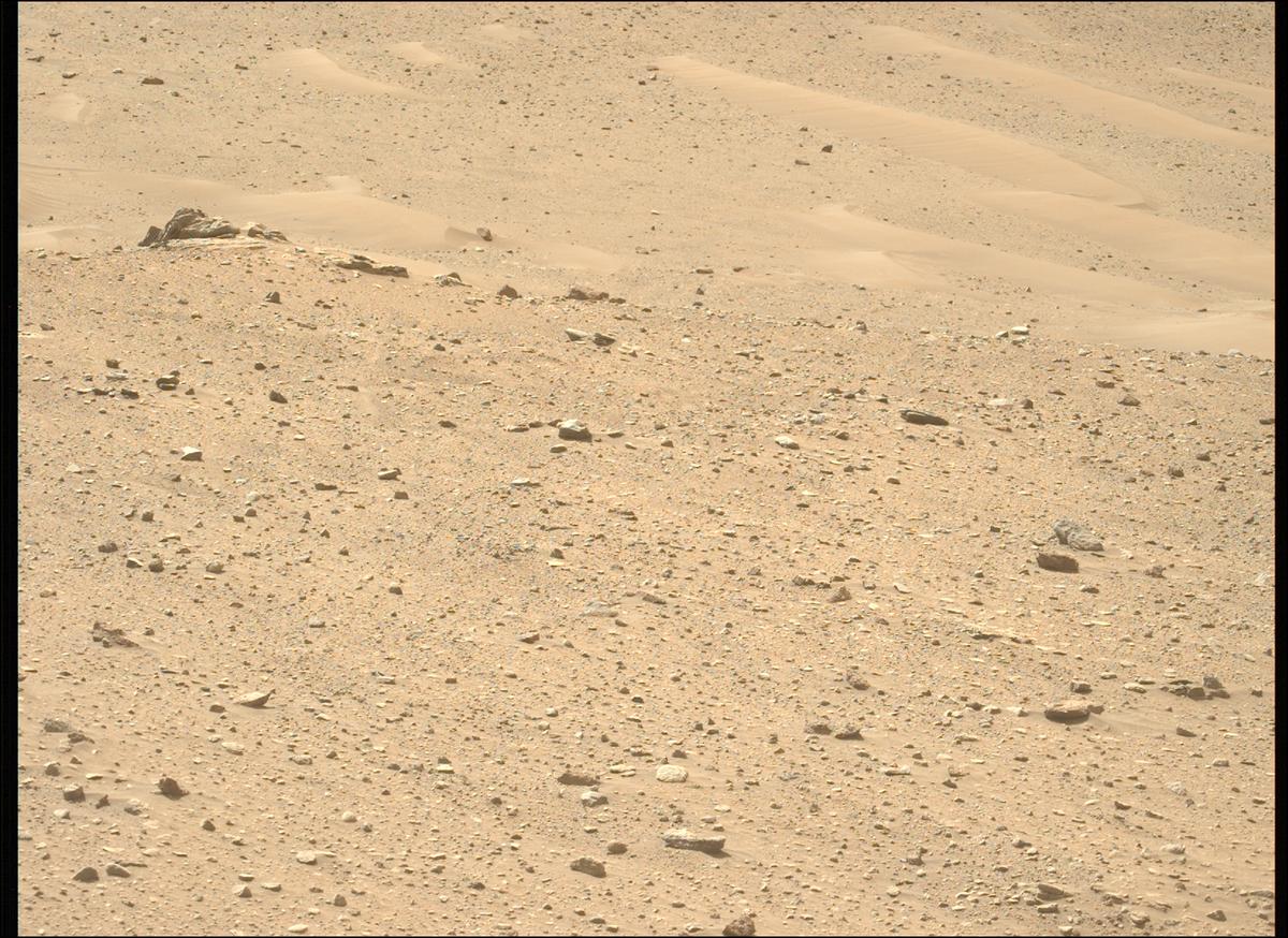 This image was taken by MCZ_LEFT onboard NASA's Mars rover Perseverance on Sol 534