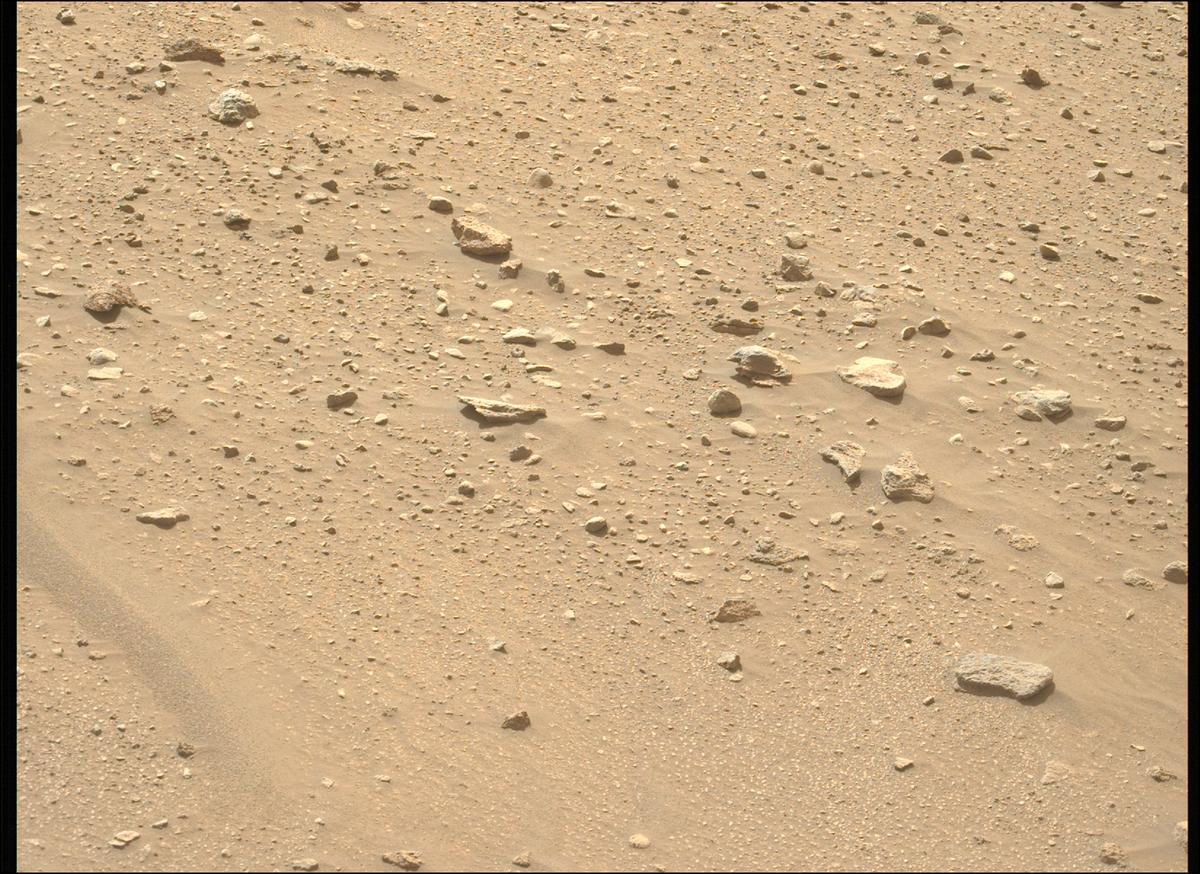 This image was taken by MCZ_LEFT onboard NASA's Mars rover Perseverance on Sol 534