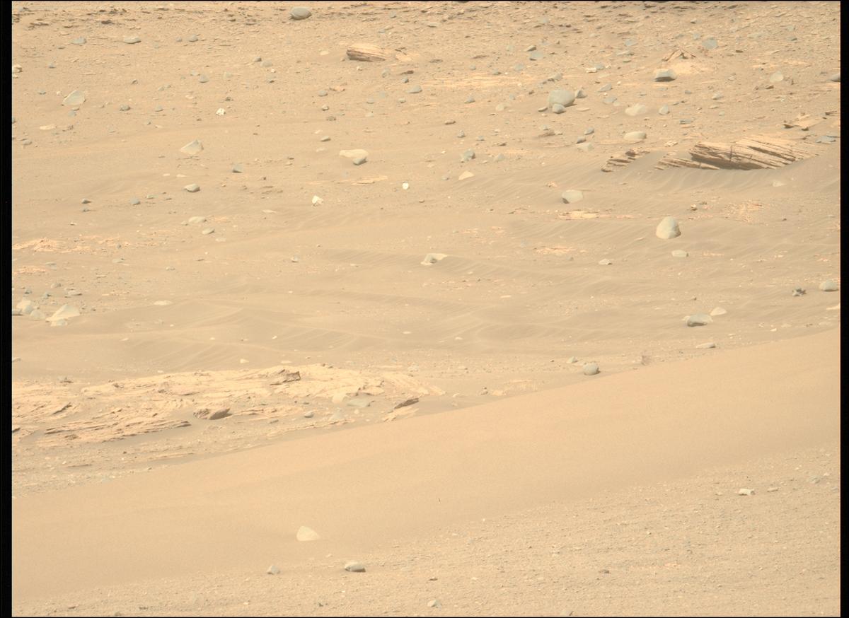 This image was taken by MCZ_LEFT onboard NASA's Mars rover Perseverance on Sol 536