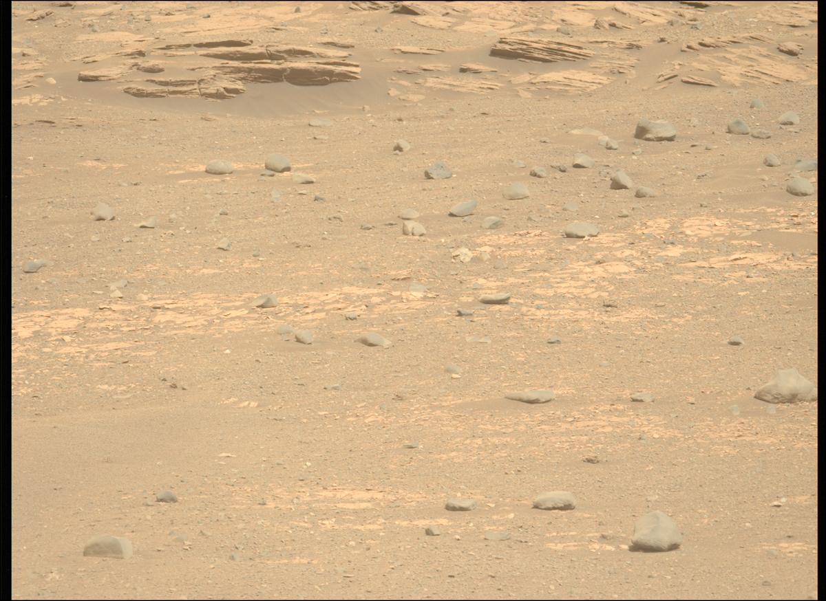 This image was taken by MCZ_LEFT onboard NASA's Mars rover Perseverance on Sol 536