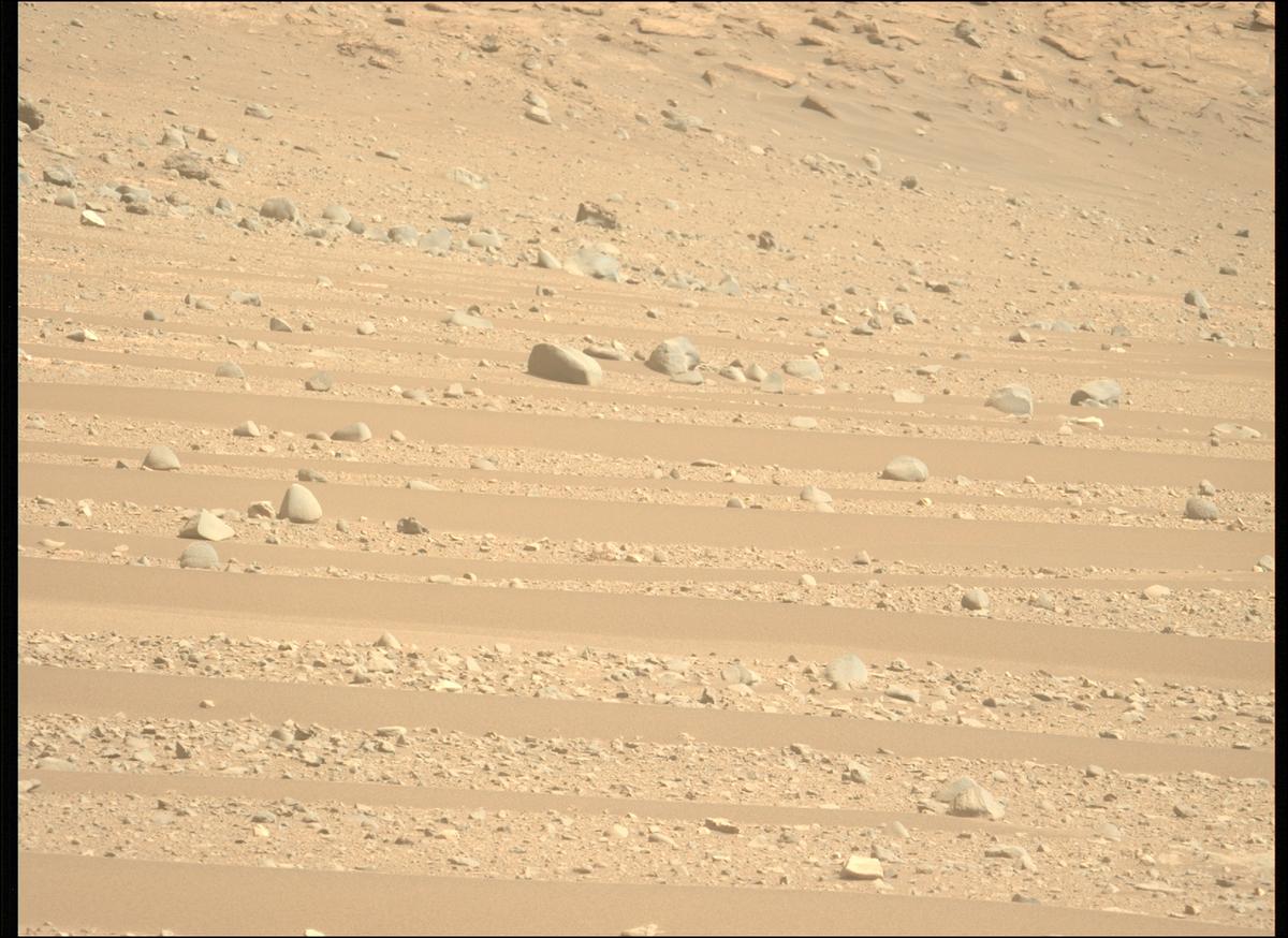 This image was taken by MCZ_LEFT onboard NASA's Mars rover Perseverance on Sol 536
