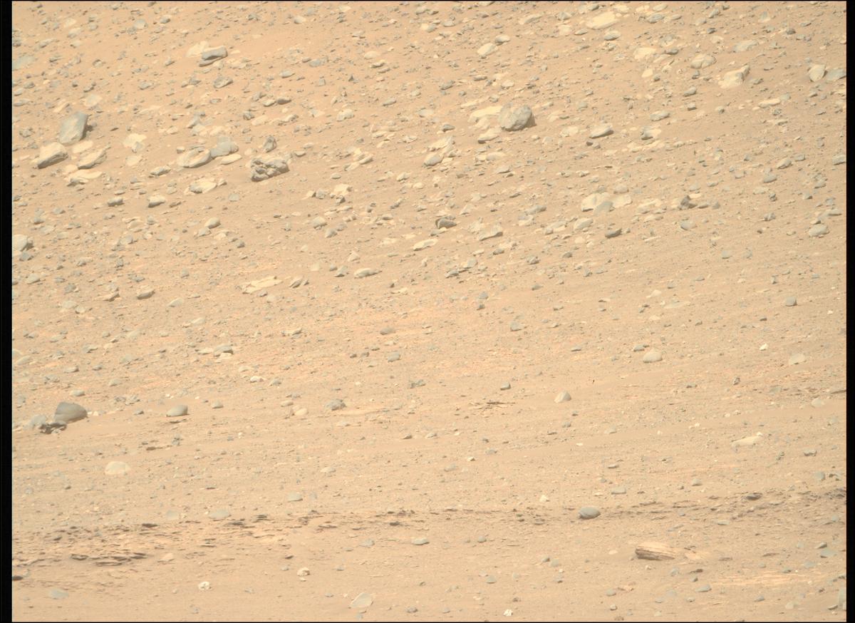 This image was taken by MCZ_RIGHT onboard NASA's Mars rover Perseverance on Sol 536