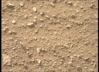 View image taken on Mars, Mars Perseverance Sol 539: Right Mastcam-Z Camera