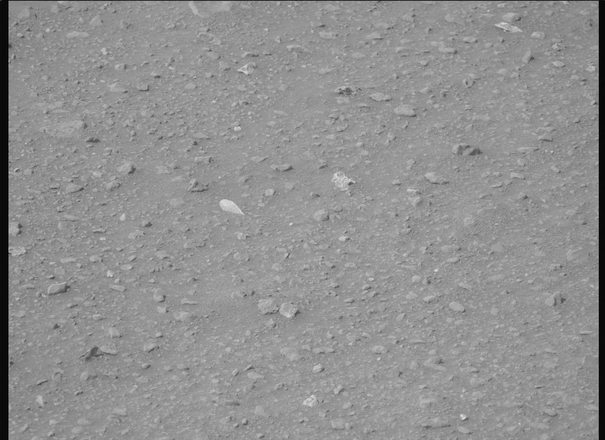 This image was taken by MCZ_LEFT onboard NASA's Mars rover Perseverance on Sol 540