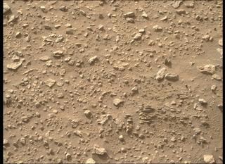 View image taken on Mars, Mars Perseverance Sol 541: Right Mastcam-Z Camera