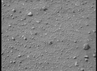 View image taken on Mars, Mars Perseverance Sol 542: Left Mastcam-Z Camera