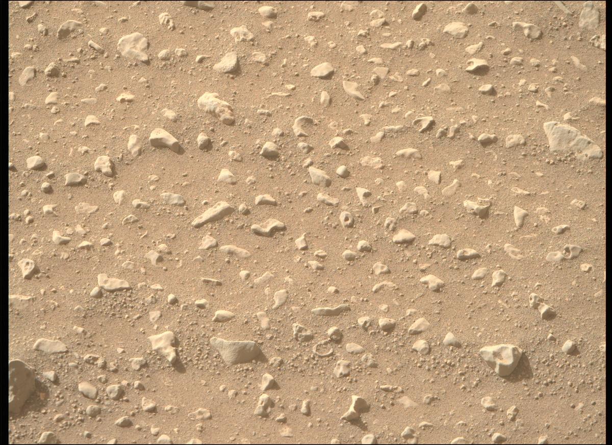 This image was taken by MCZ_RIGHT onboard NASA's Mars rover Perseverance on Sol 542