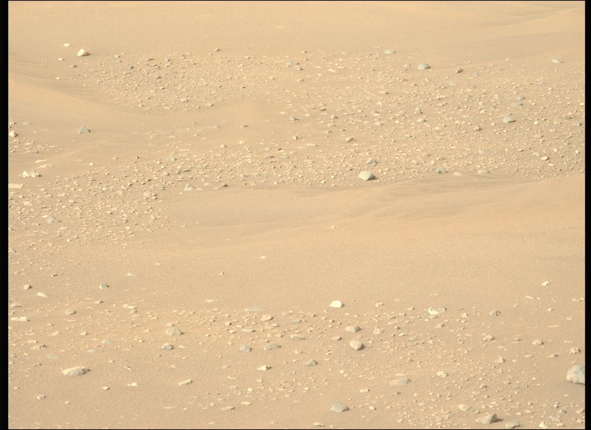 This image was taken by MCZ_LEFT onboard NASA's Mars rover Perseverance on Sol 544