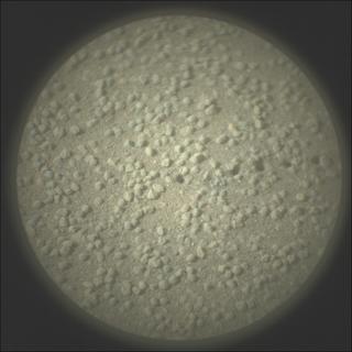 View image taken on Mars, Mars Perseverance Sol 546: SuperCam Camera
