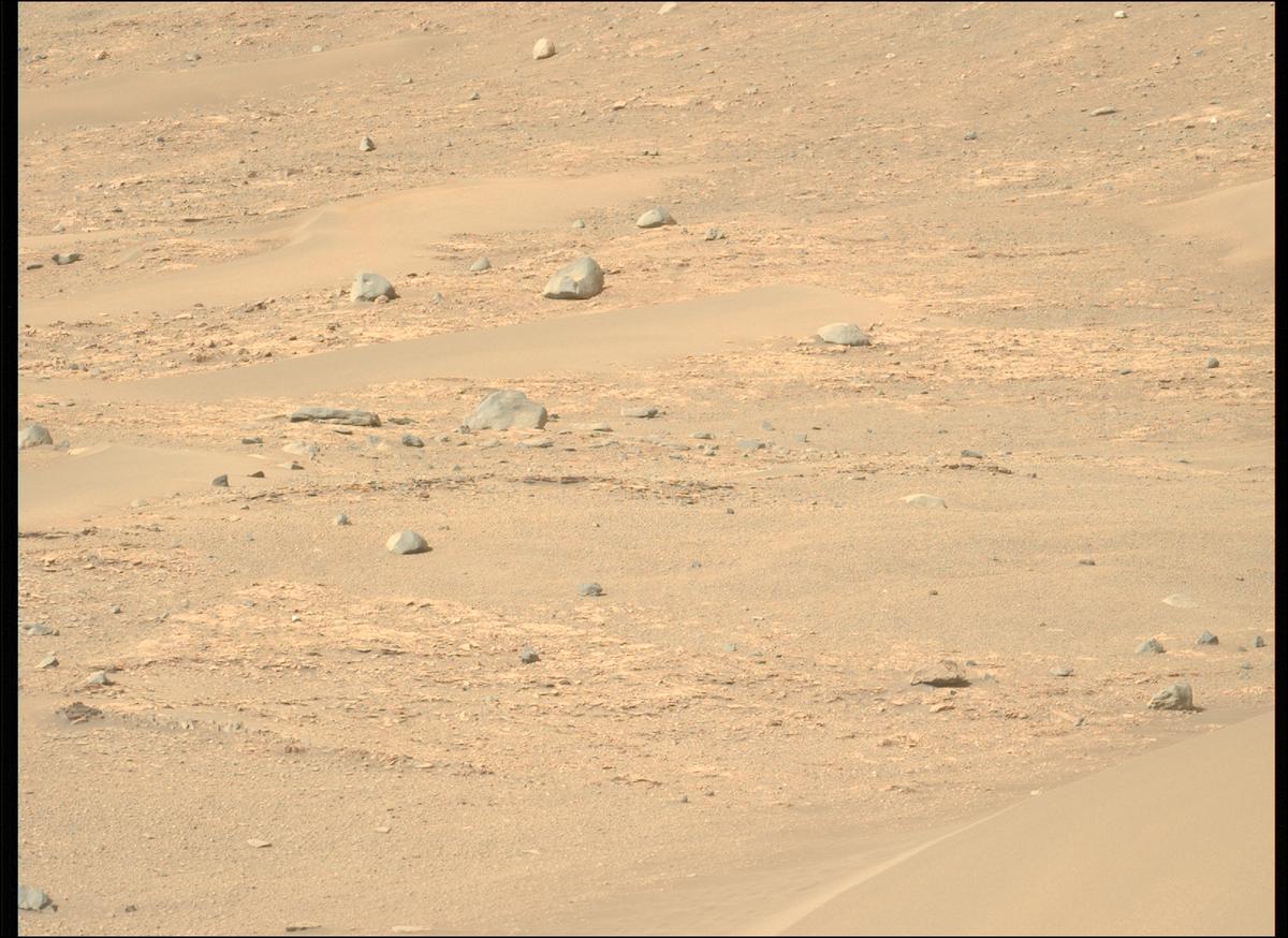 This image was taken by MCZ_LEFT onboard NASA's Mars rover Perseverance on Sol 556