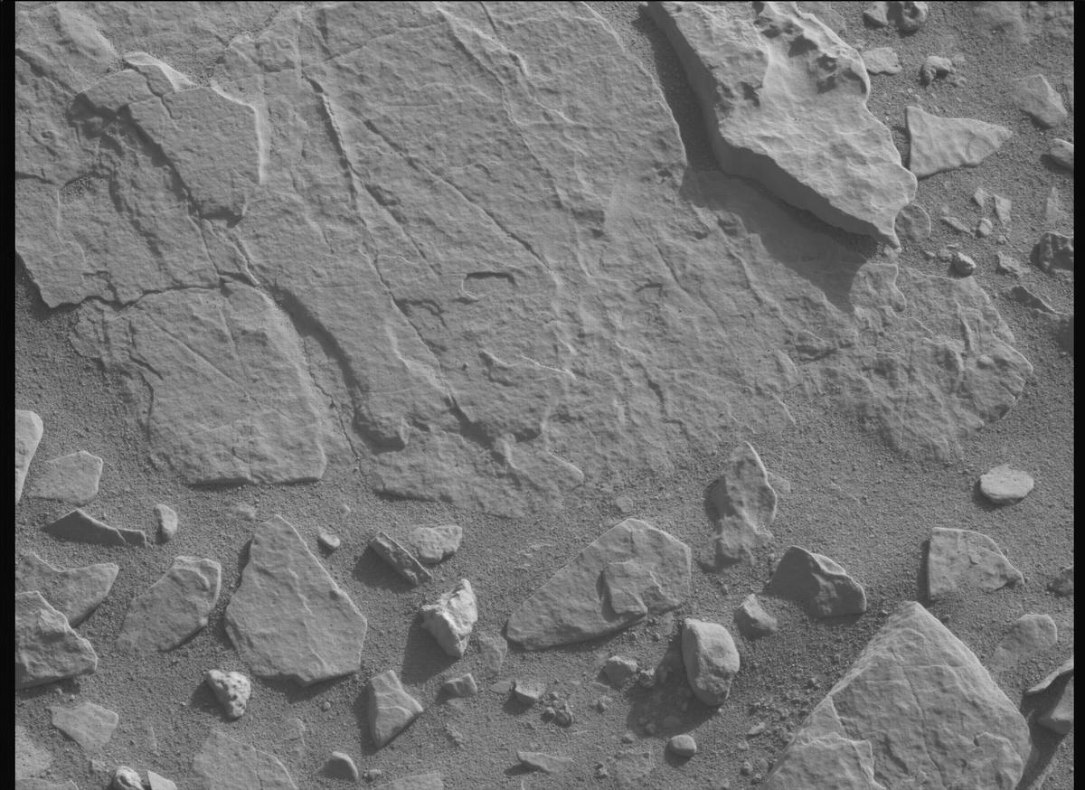 This image was taken by MCZ_LEFT onboard NASA's Mars rover Perseverance on Sol 557