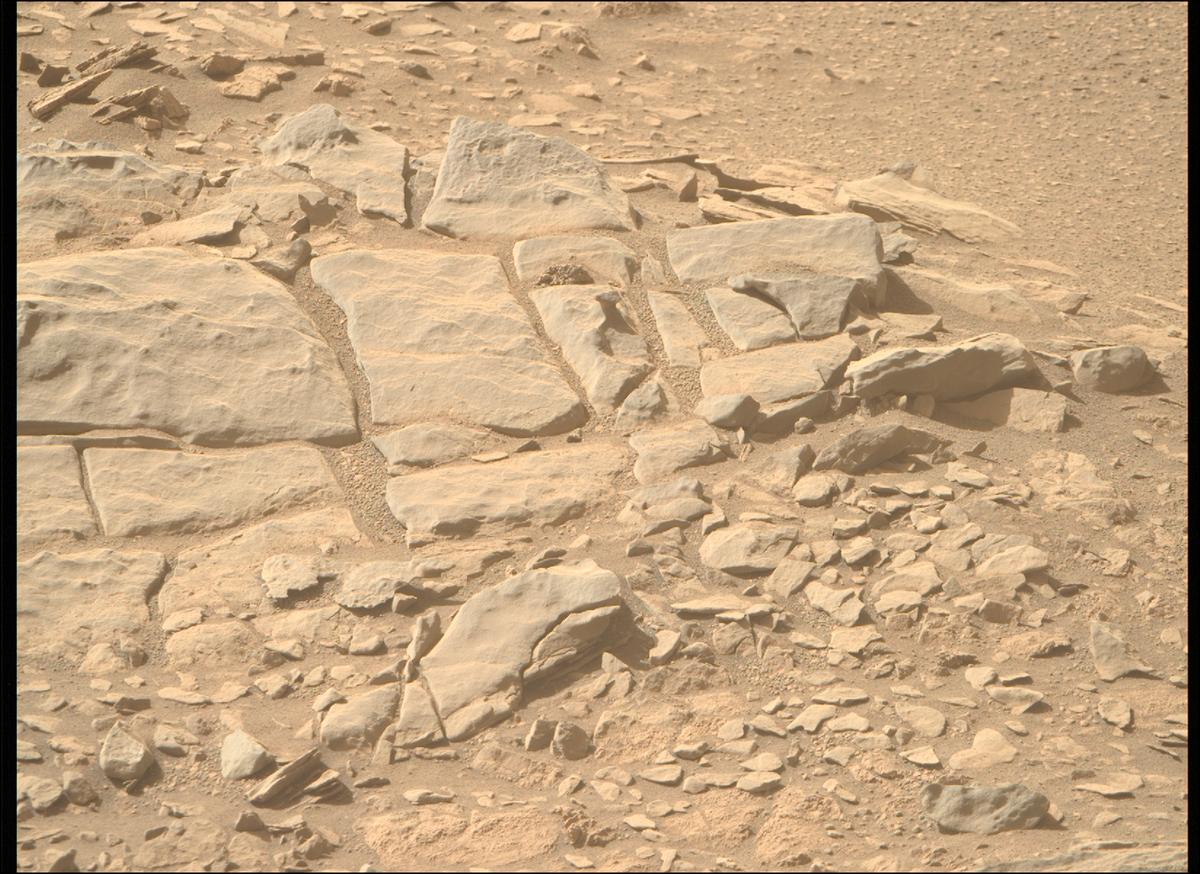 This image was taken by MCZ_RIGHT onboard NASA's Mars rover Perseverance on Sol 557