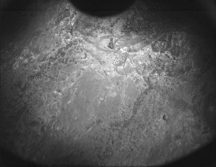 This image was taken by PIXL_MCC onboard NASA's Mars rover Perseverance on Sol 558