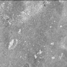 View image taken on Mars, Mars Perseverance Sol 558: SHERLOC ACI Camera 